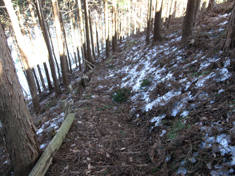 20160128hike (285)